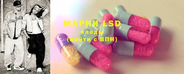 PSILOCYBIN Бугульма